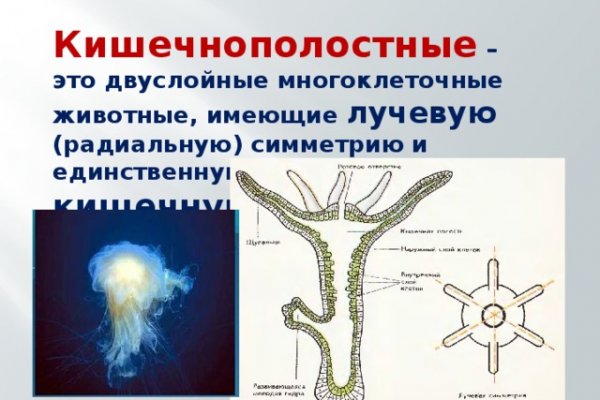 Кракен маркет что это