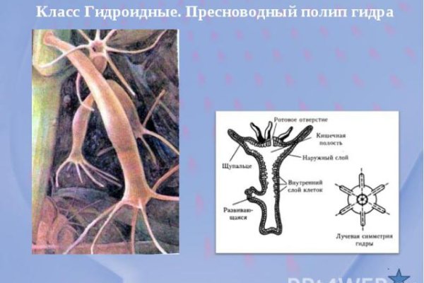 Kraken зеркало kr2web in